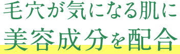 毛穴が気になる肌に美容成分を配合