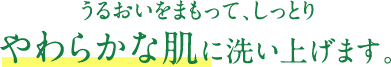 うるおいをまもって、しっとりやわらかな肌に洗い上げます。