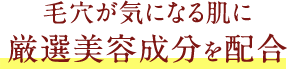 毛穴が気になる肌に厳選美容成分を配合